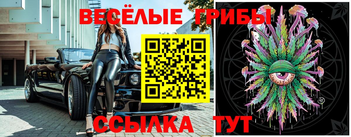 Галлюциногенные грибы Magic Shrooms  Вход с VPN  Дятьково  Галлюциногенные грибы Psilocybine cubensis 